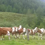 Farm stay Bauernhof Unterbichl *