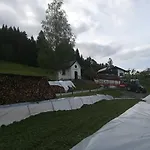 Bauernhof Unterbichl Farm stay Flachau