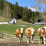 Bauernhof Unterbichl Farm stay