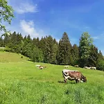 Bauernhof Unterbichl Farm stay Flachau