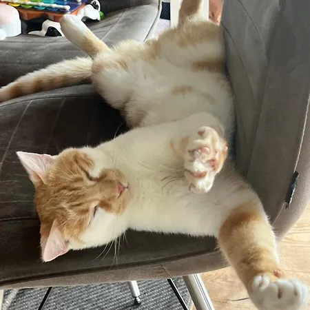 باورنهوف أونتربيخل مزرعة للإقامة *