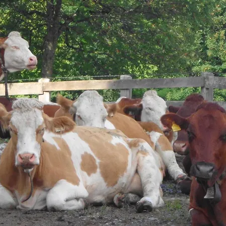 باورنهوف أونتربيخل مزرعة للإقامة *