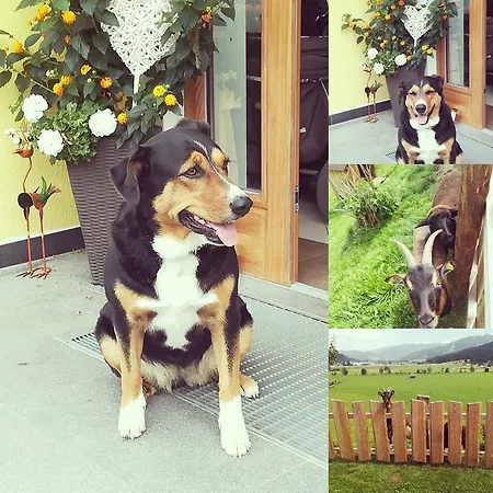 باورنهوف أونتربيخل مزرعة للإقامة