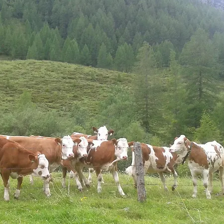 Farma Bauernhof Unterbichl *