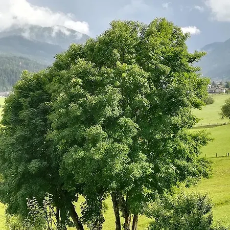ファームステイ Bauernhof Unterbichl フラッハウ