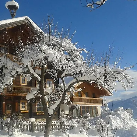 Bauernhof Unterbichl Farma Flachau