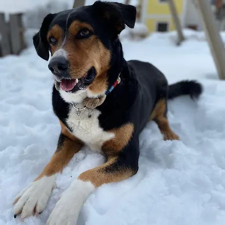 Bauernhof Unterbichl * Flachau