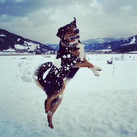 باورنهوف أونتربيخل