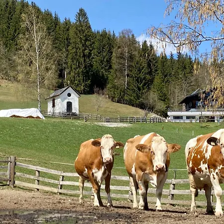Bauernhof Unterbichl Farm stay