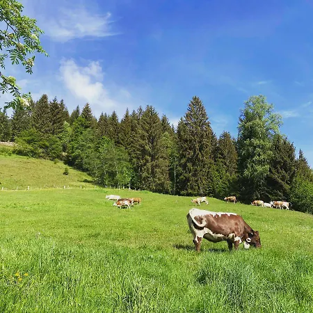 Bauernhof Unterbichl Farma Flachau